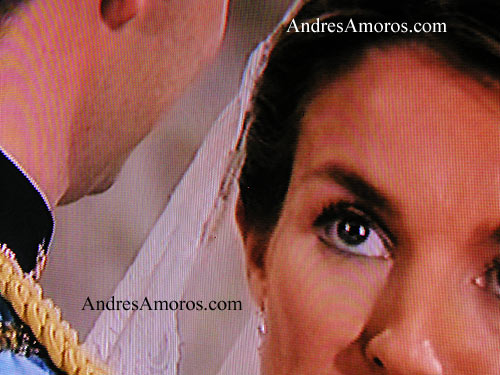 La boda Real por Andrés Amorós